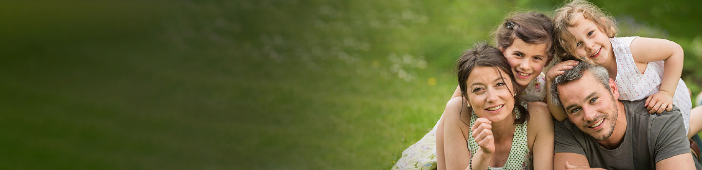 Blissfield Banner Image